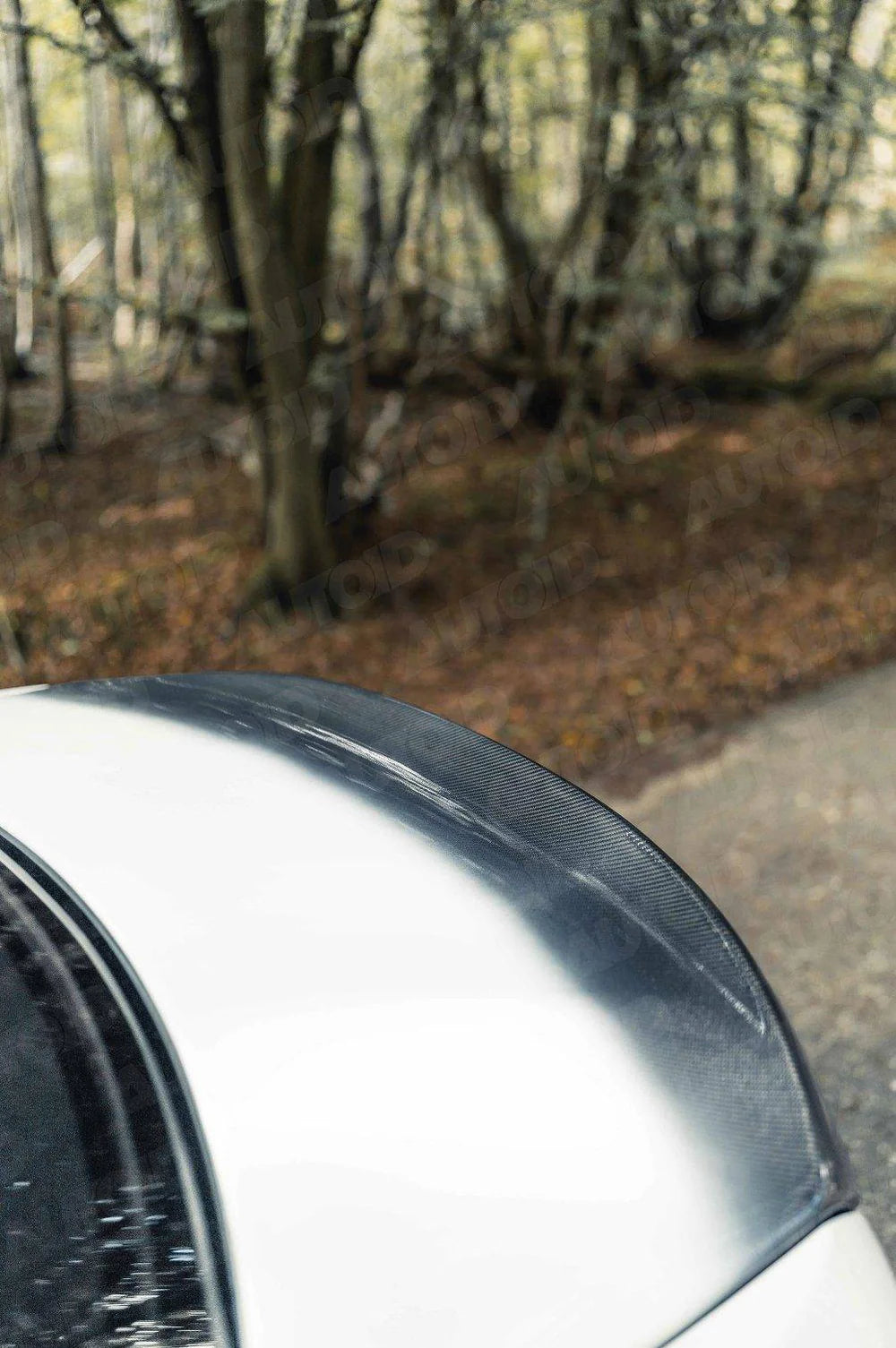 TRE TRE F87 M2 Full Carbon Fiber CSL Trunk Lid BMW 2 Series & M2 (2014-2021, F22 F87)