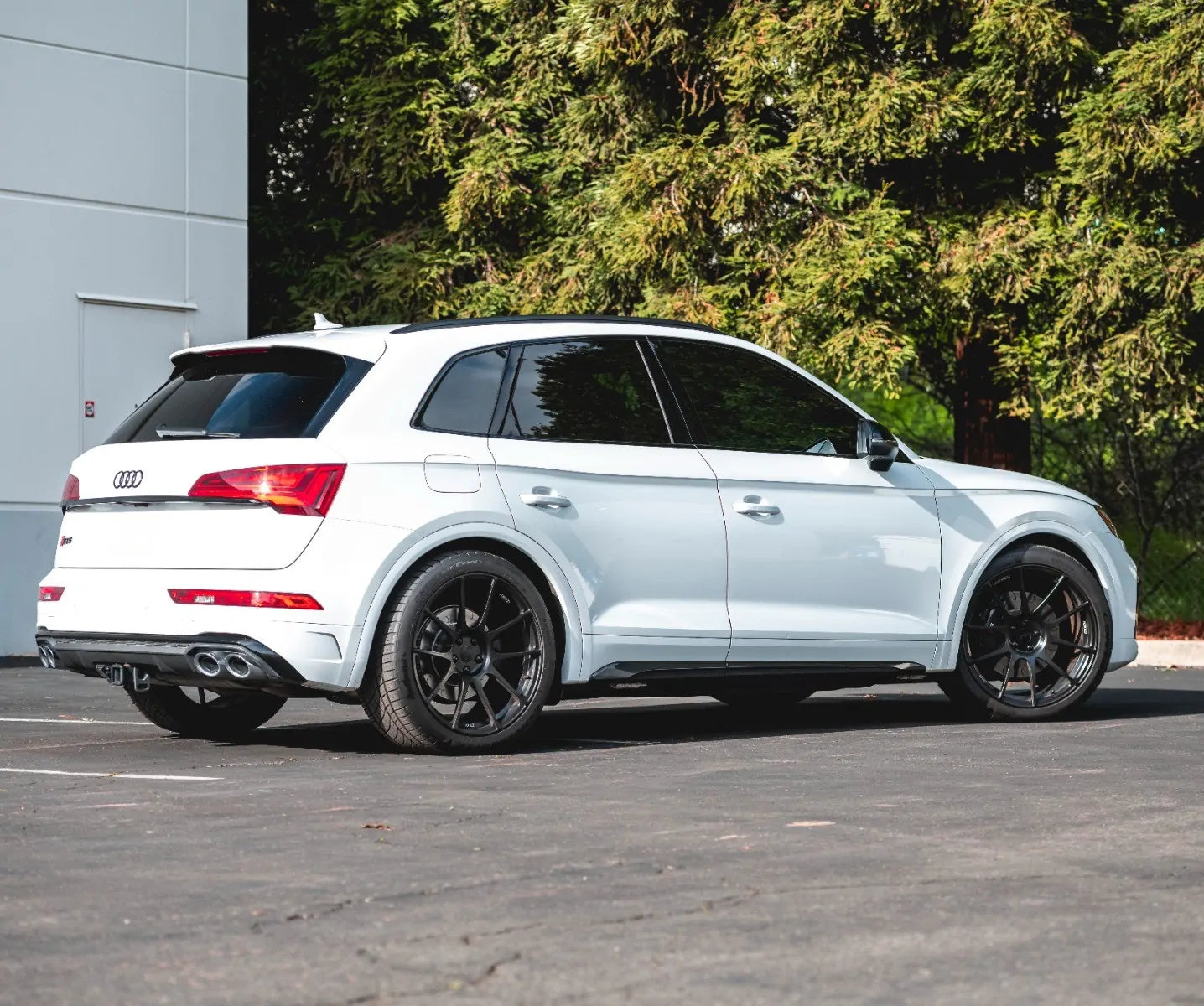 034Motorsport Dynamic+ Lowering Springs - Audi B9/B9.5 SQ5