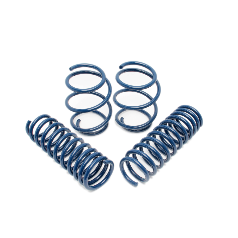 DINAN Performance Springs E60 M5