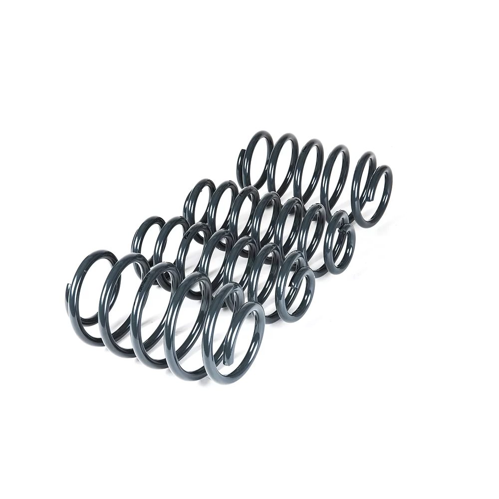 Racingline Sport Springs 8V RS3