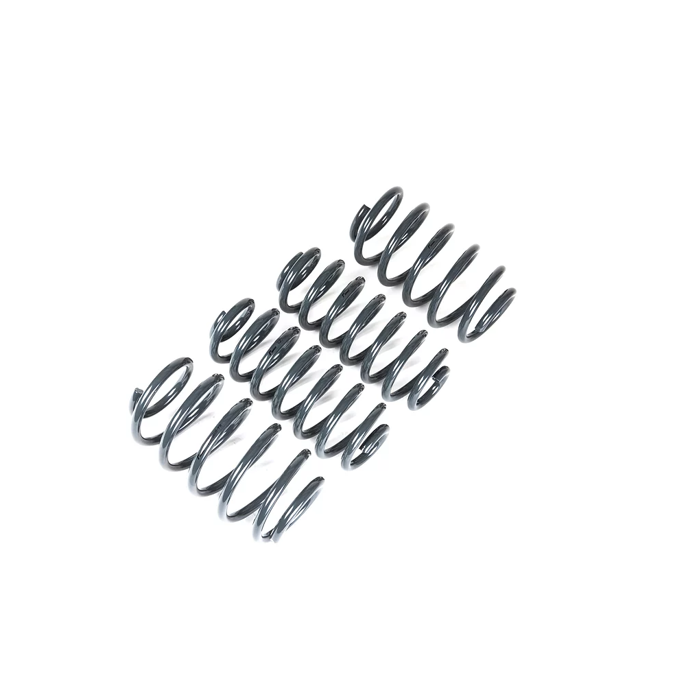 Racingline Sport Springs MK7 Alltrack · Sportwagen