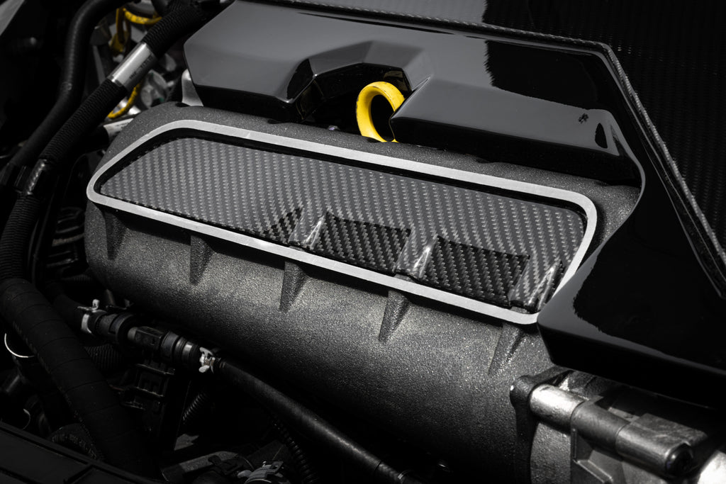 Audi RS3 Engine Cover