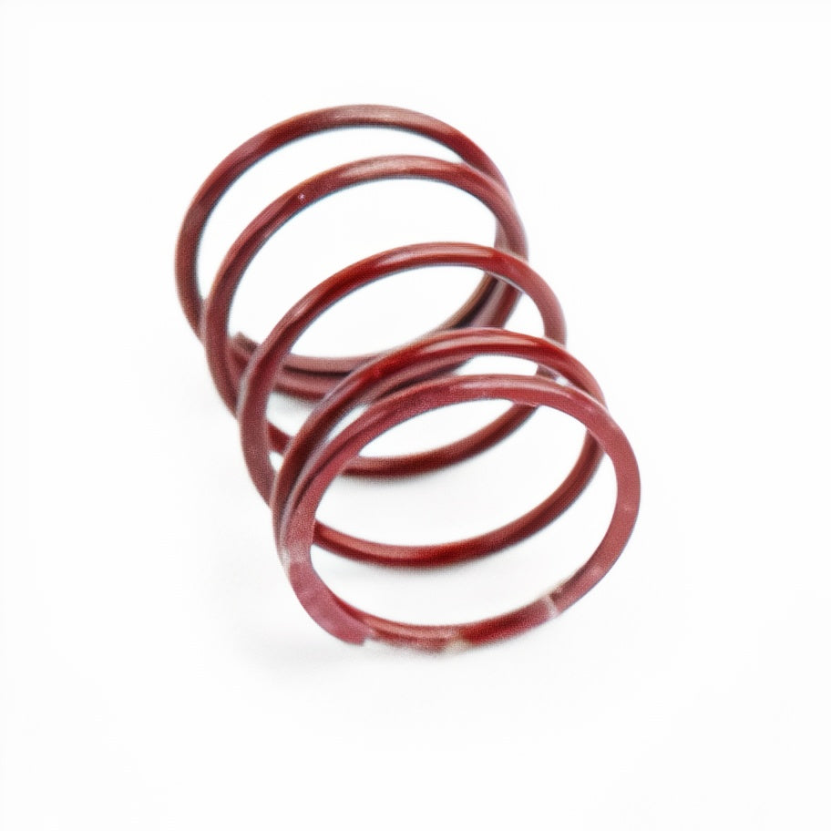 CTS Turbo High Performance Red Spring DV/BOV