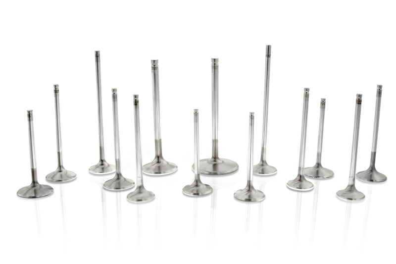 Ferrea Racing Audi/VW BTW 28mm 5.97mm 102mm 24 Deg Flo Stk Trpl Groove Super Alloy Exhaust Valve - Set of 8