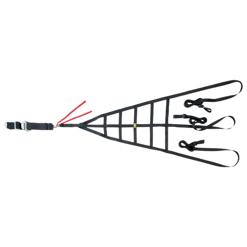 OMP Racing Professional Top Level Racing Net - Small Quick Release