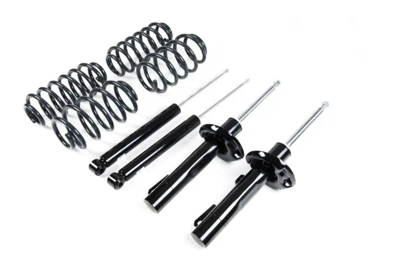 Racingline Spring and Damper Kit - VW Jetta/Beetle (55mm)