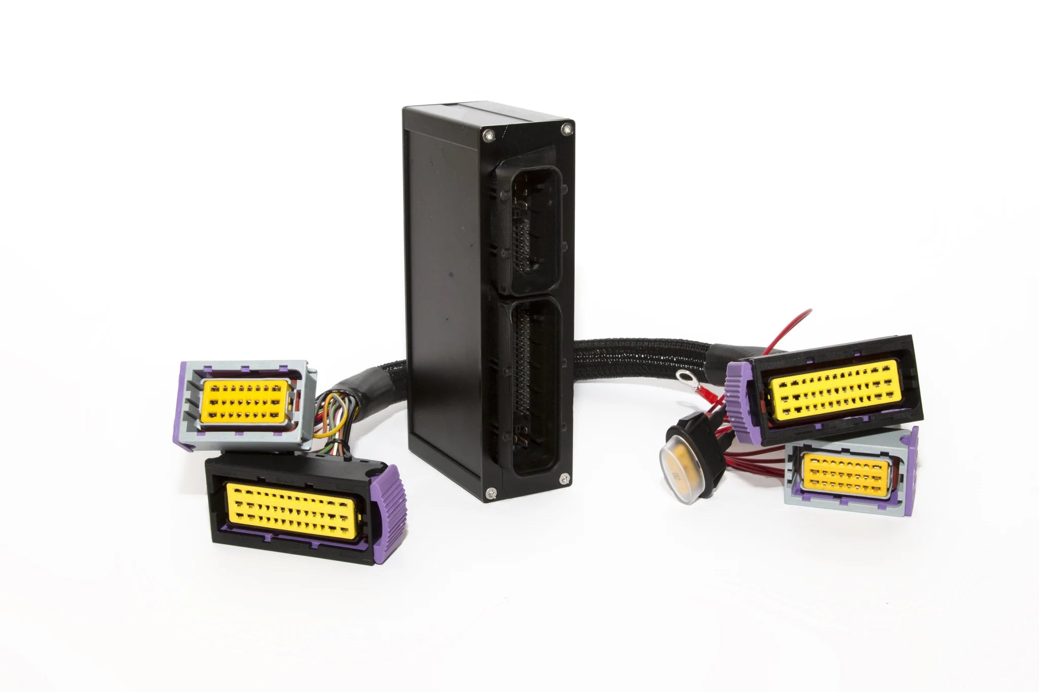 ECUMASTER Plug and Play Adapter - VW MK4 Golf R32 VR6 BFH