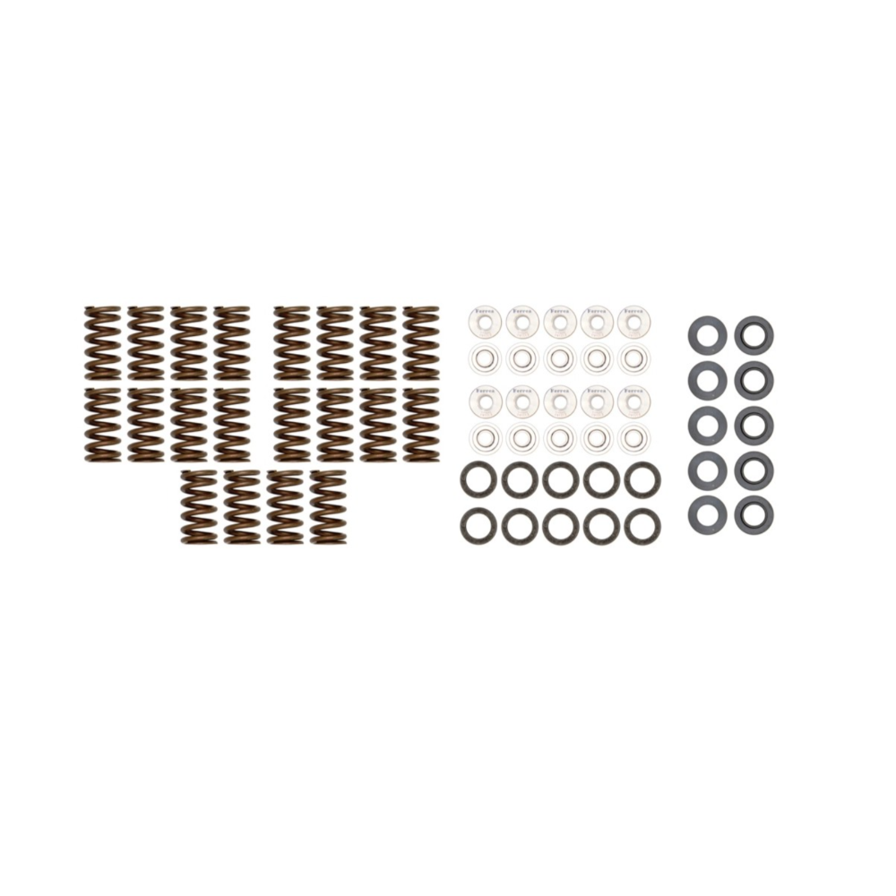 Eurocode Ferrea Racing Valve Spring Upgrade Kit 8V RS3 · 8S TT RS
