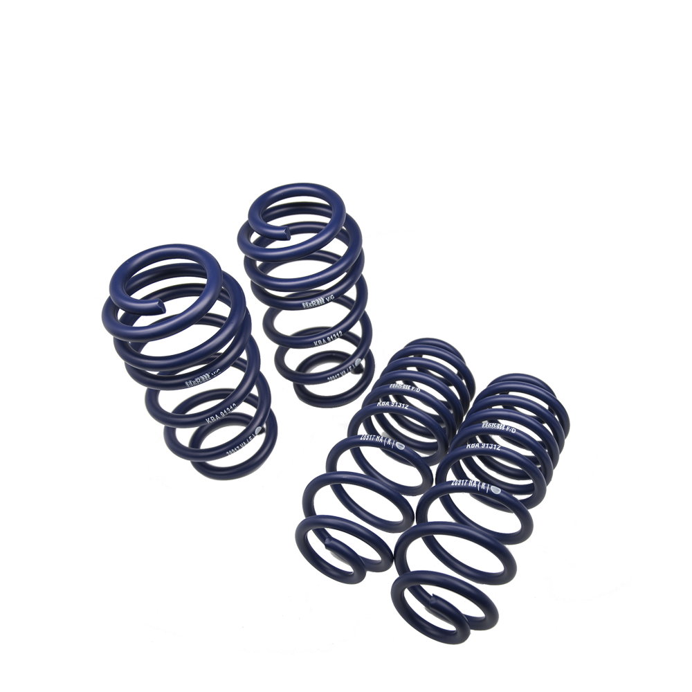 H&R Sport Spring Kit | Nissan Leaf S/Leaf SL/Leaf SV 2018-2020 (40KWH 2WD ZE1) (28685-1)