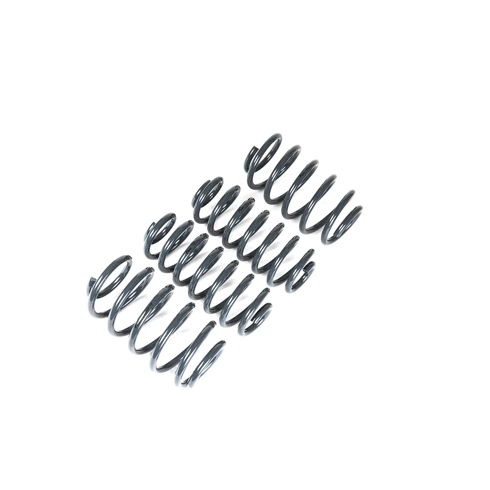 Racingline Sport Springs 5C Beetle